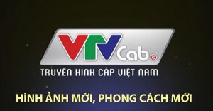 vtvcab-2025